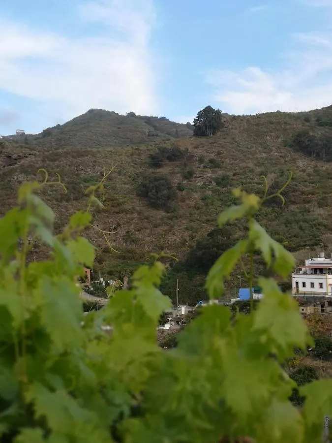 Casa Con Cuevita Teror Holiday home
