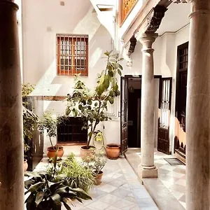 Charming, Spacious Albayzin , Granada España